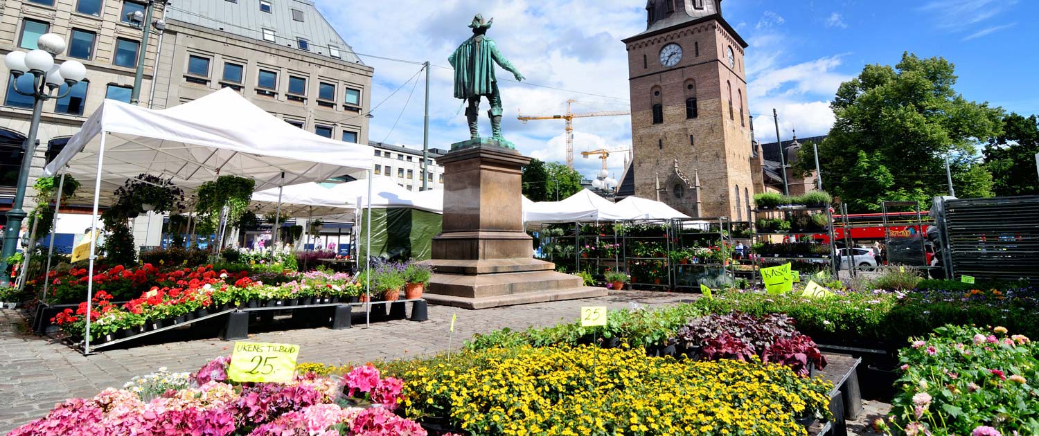 TOOLPORT Die Marke für Partyzelte, Faltpavillons, Lagerzelte und mehr