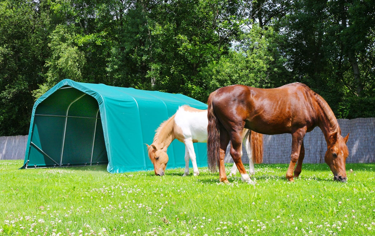 WeidezeltToolportTeaserStart Toolport