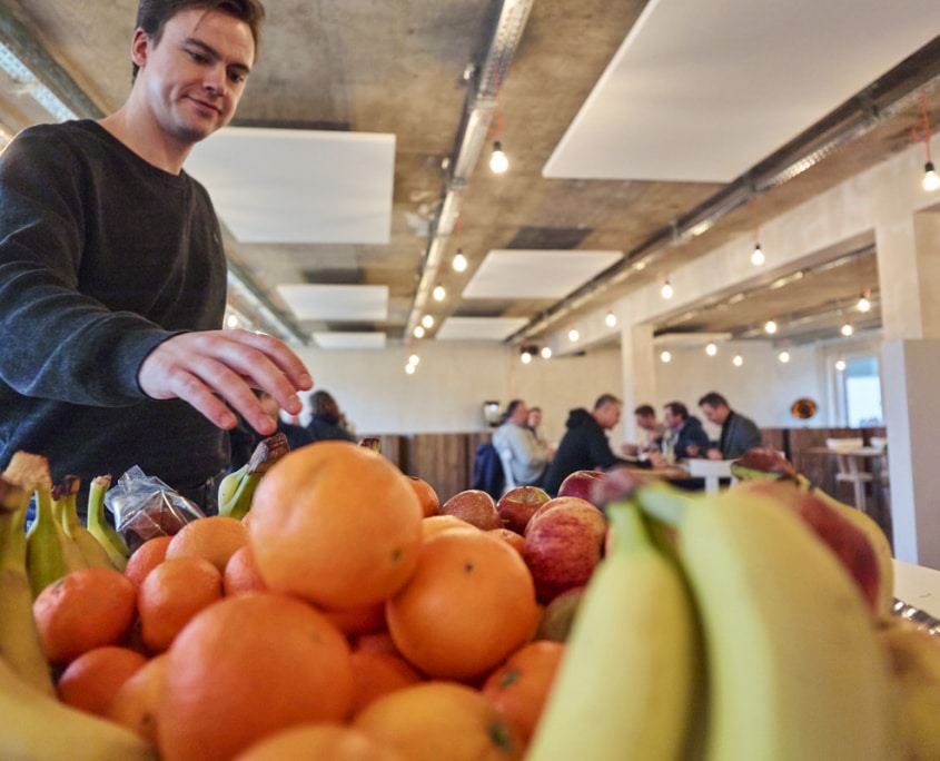 TOOLPORT Profizelte // Finde das Zelt, das zu dir passt!